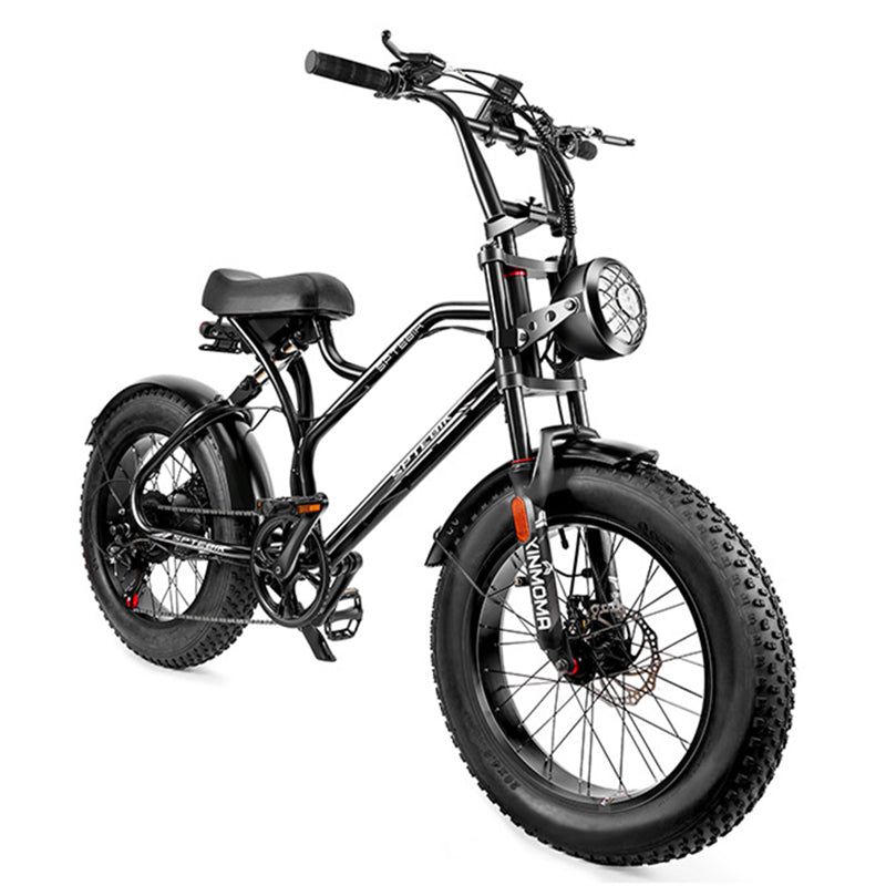 自転車 レトロ調 ファットバイク 20インチ 極太タイヤ シマノ7段変速 前後ディスクブレーキ 山登り 街乗り アウトドア キャンプ
