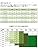 [５枚組] インナーシャツ メンズ 半袖 肌着 綿100% Tシャツ Vネック インナー 下着 クセになる肌触り 防菌防臭 無地 夏服 ブラック/ホワイト (ホワイト, L)
